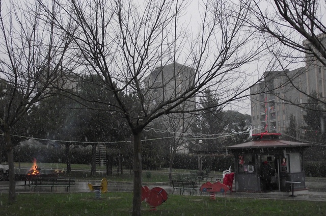 natale_2011__1.jpg